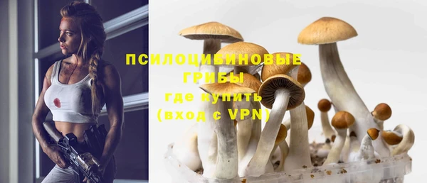 трава Армянск