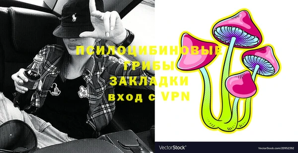 ешки Аркадак