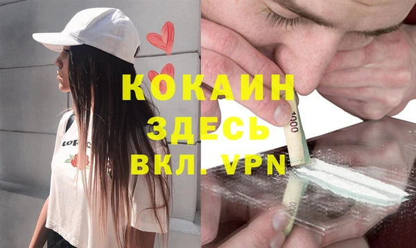 ешки Аркадак