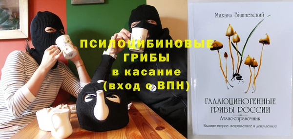ешки Аркадак